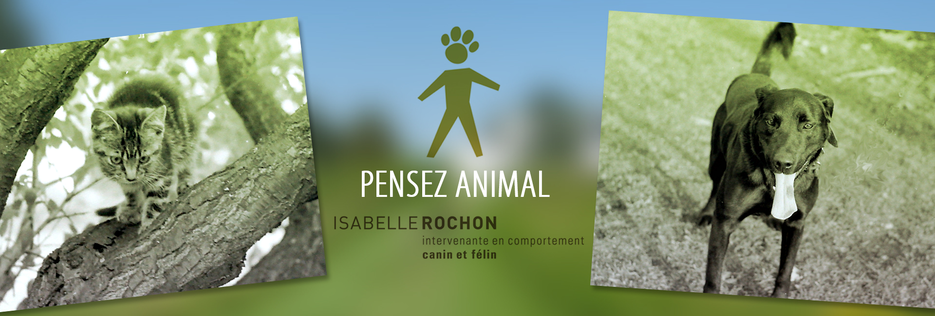 pensezanimal.com pensezanimal.com